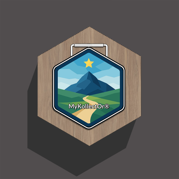 Porte-Médailles Héxa MyKollectOr – Design Modulaire & Écoresponsable