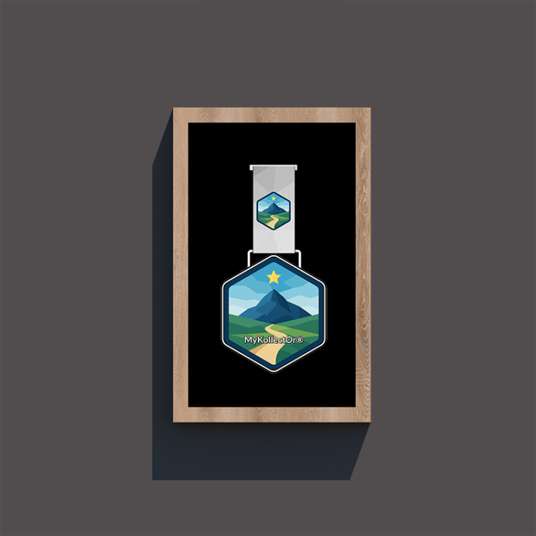 Cadre Essentiel MyKollectOr – Exposition Élégante pour Médaille
